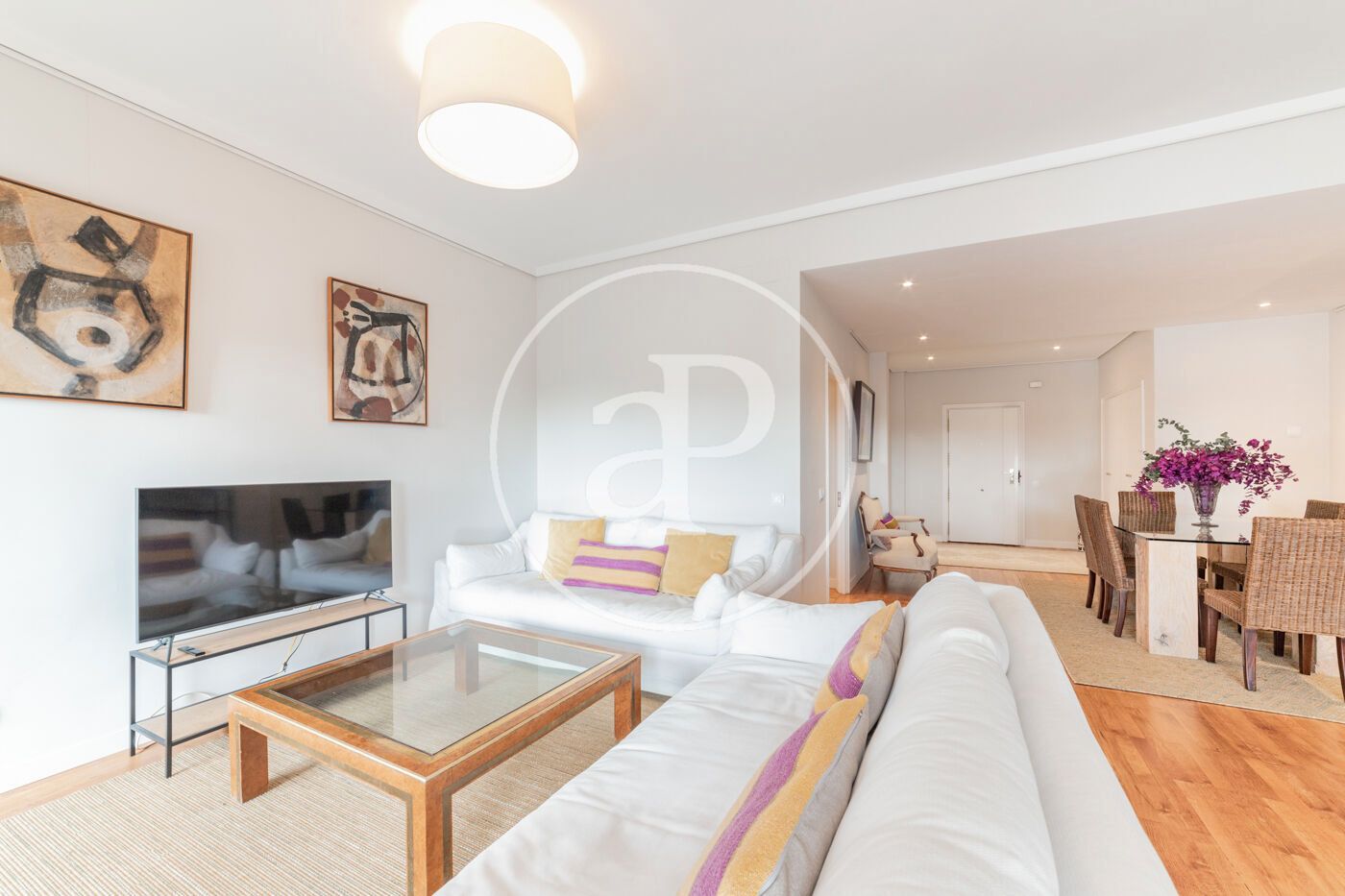 Living room of Flat to rent in  Madrid Capital  with Air Conditioner, Heating and Private garden
