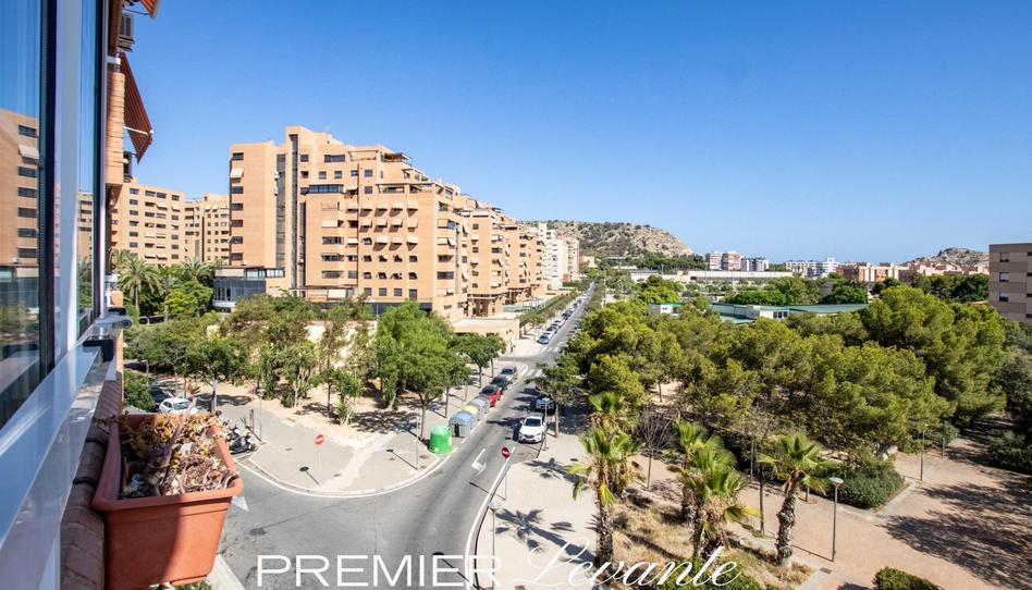 Foto 1 de Pis en venda a  Dr Jose Luis de la Vega, Garbinet - Parque de las Avenidas, Alicante