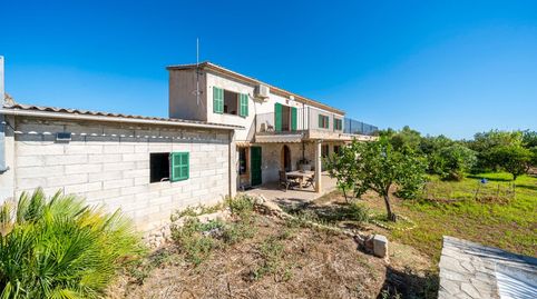 Finca rústica con terreno en Selva, imatge 4