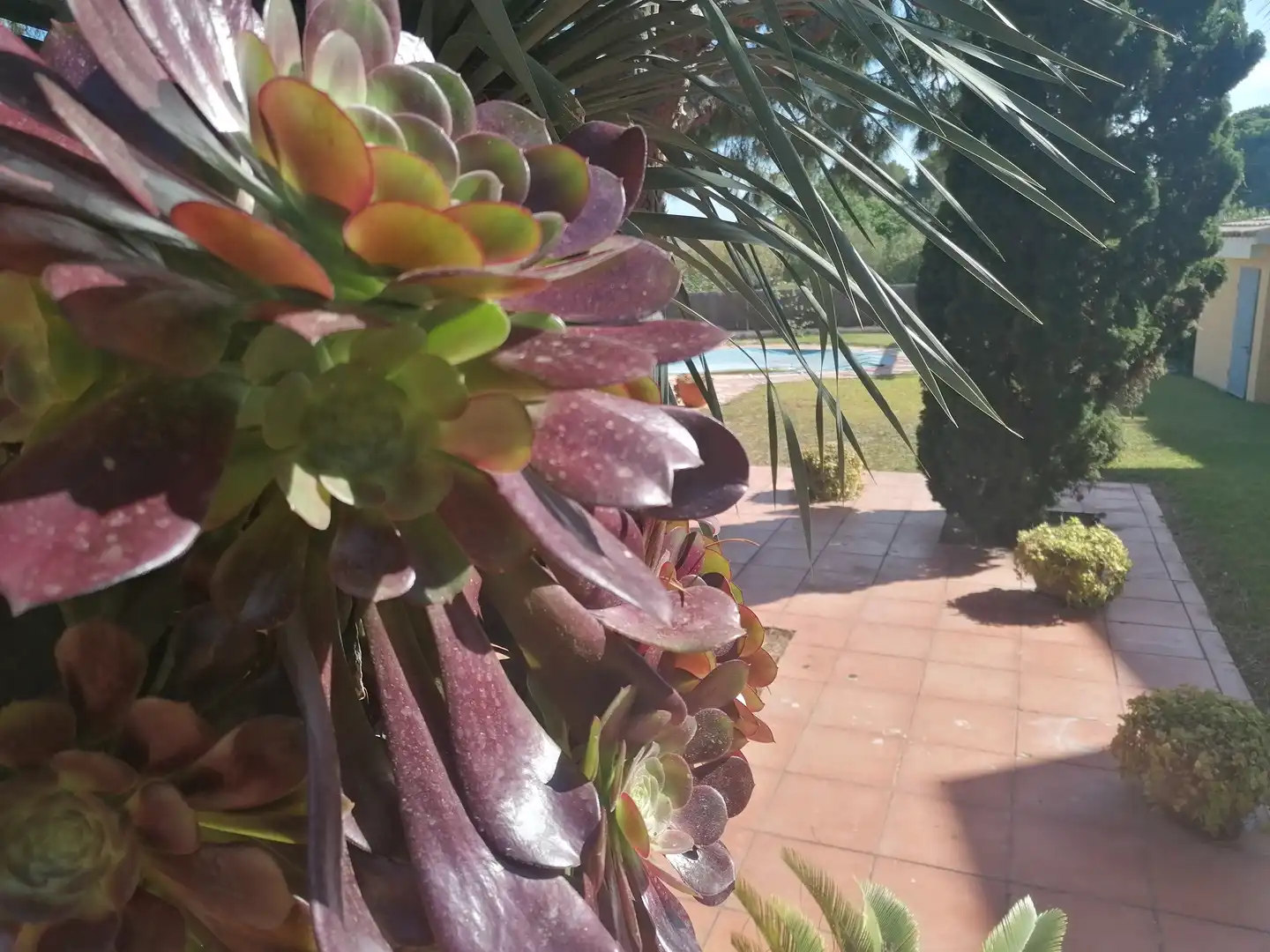 Houses for sale in Carrer del Doctor Ramon i Cajal, Bonavista