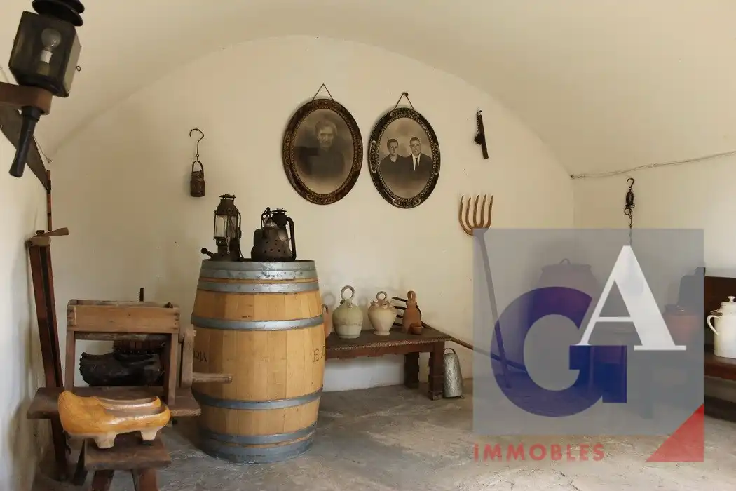 Casa rústica amb terrassa en venda a Sant Joan Les Fonts, imagen 5