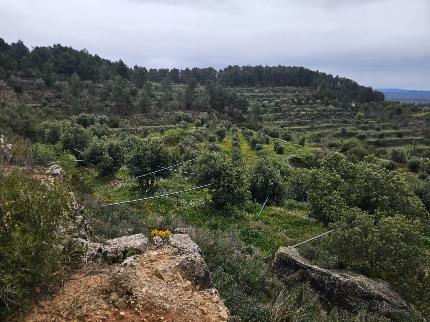 Rural land for sale in Cervià de Les Garrigues, imagen 10