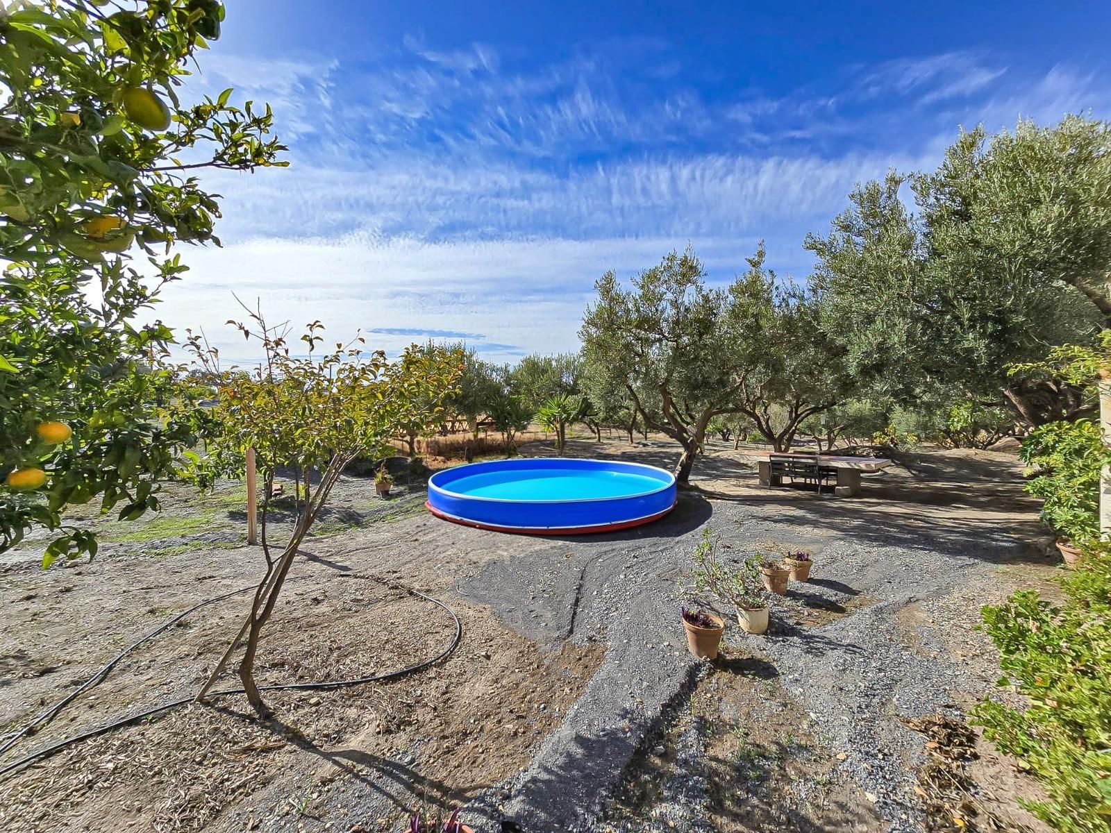 Finca rústica en venta en Vélez de Benaudalla