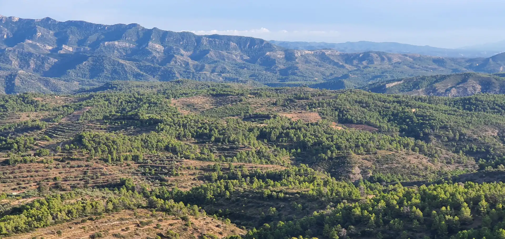 Wohnbaugrundstück zum Verkauf in El Pinell de Brai, imagen 21
