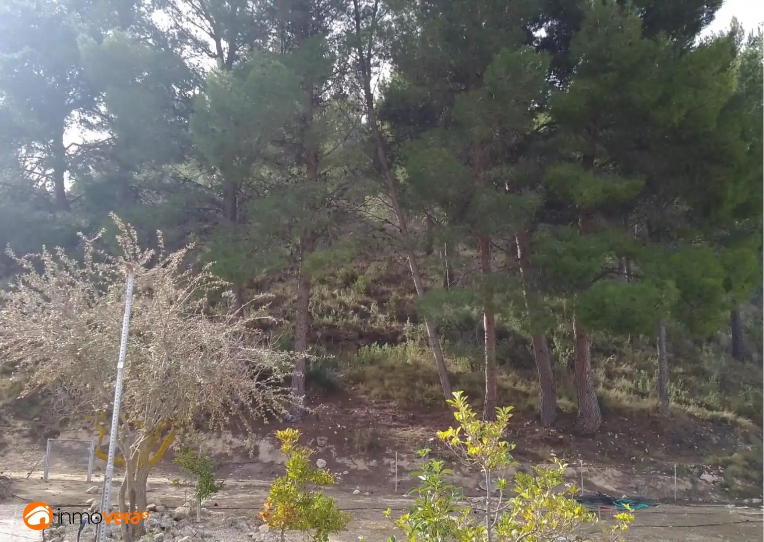 Detached house with pool for sale in Petrer, imagen 49