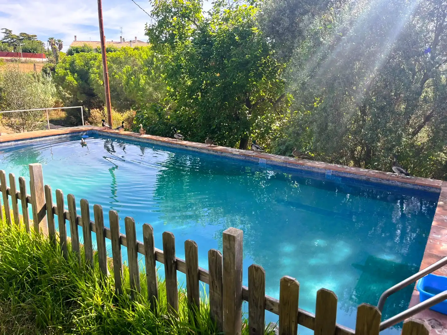 Detached house with pool for sale in Carrer Can Soberano, imagen 3