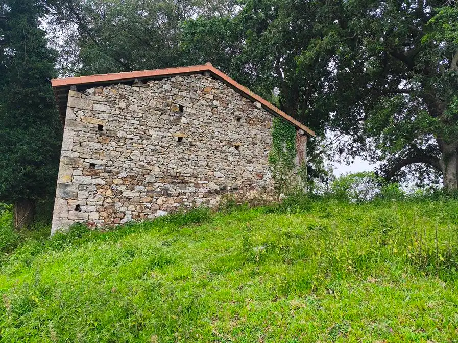 Casa en venta en Salas, imagen 73