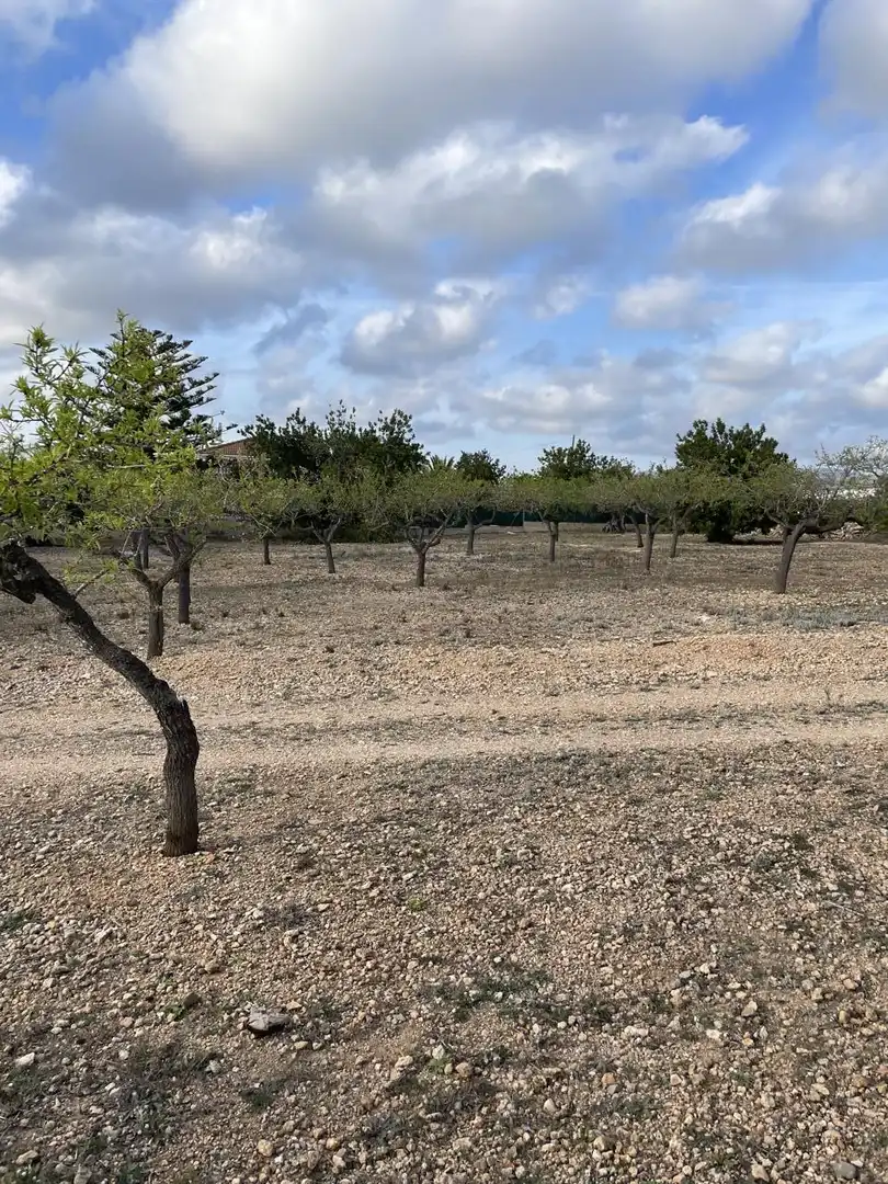 Maison rustique à vendre à recollet, imagen 19