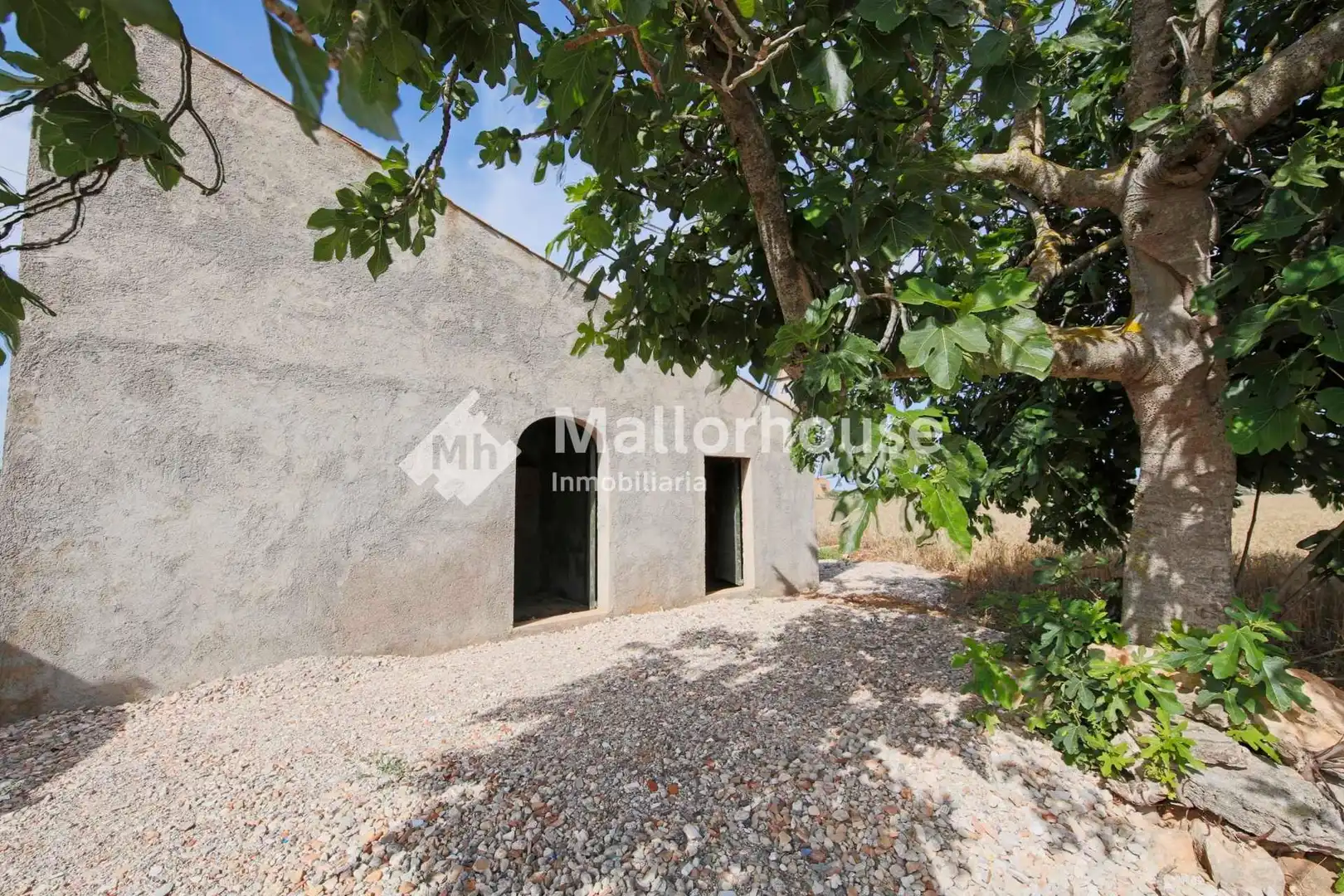 Lands and plots for sale in Polígono 10
