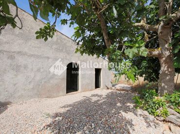 Terrenos y solares en venta en Polígono 10