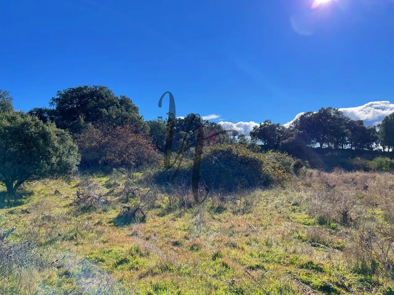 Terreno rústico en venta en paraje castellana, imagen 8