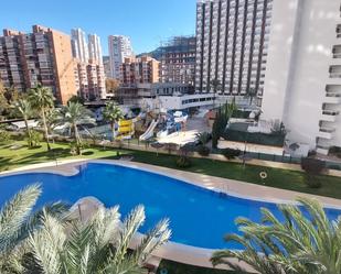 Swimming pool of Flat for sale in Benidorm  with Terrace, Oven and Internet