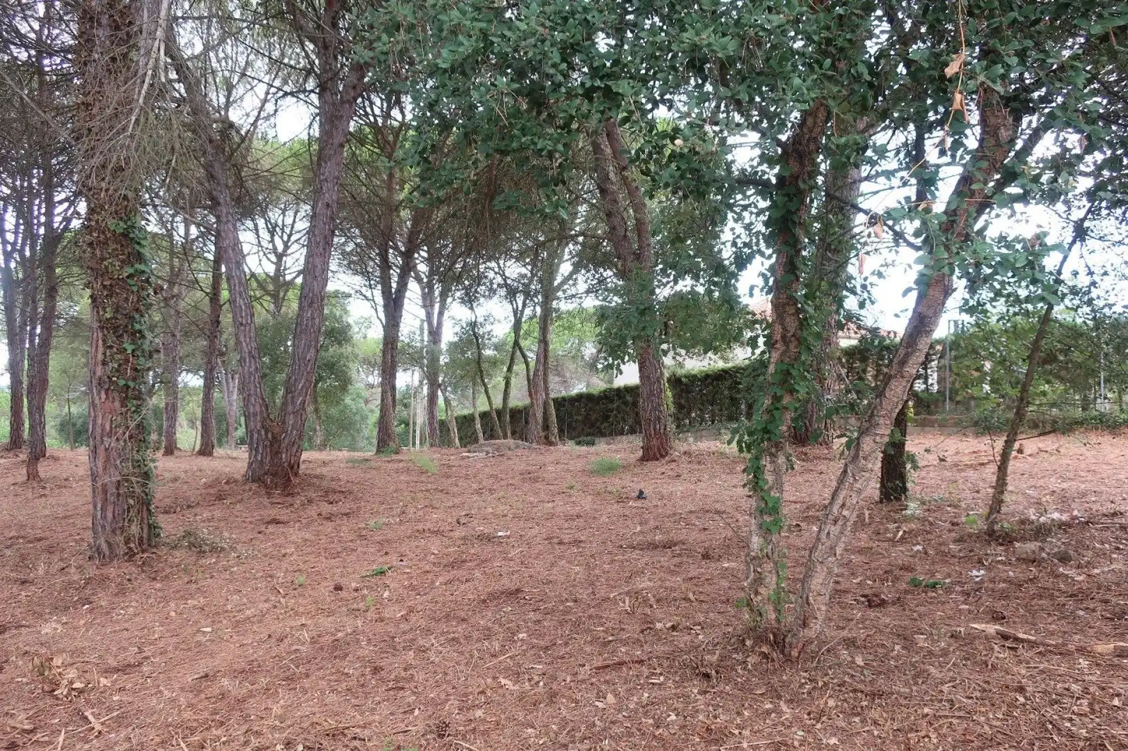 Terreny residencial en venda a Caldes de Malavella
