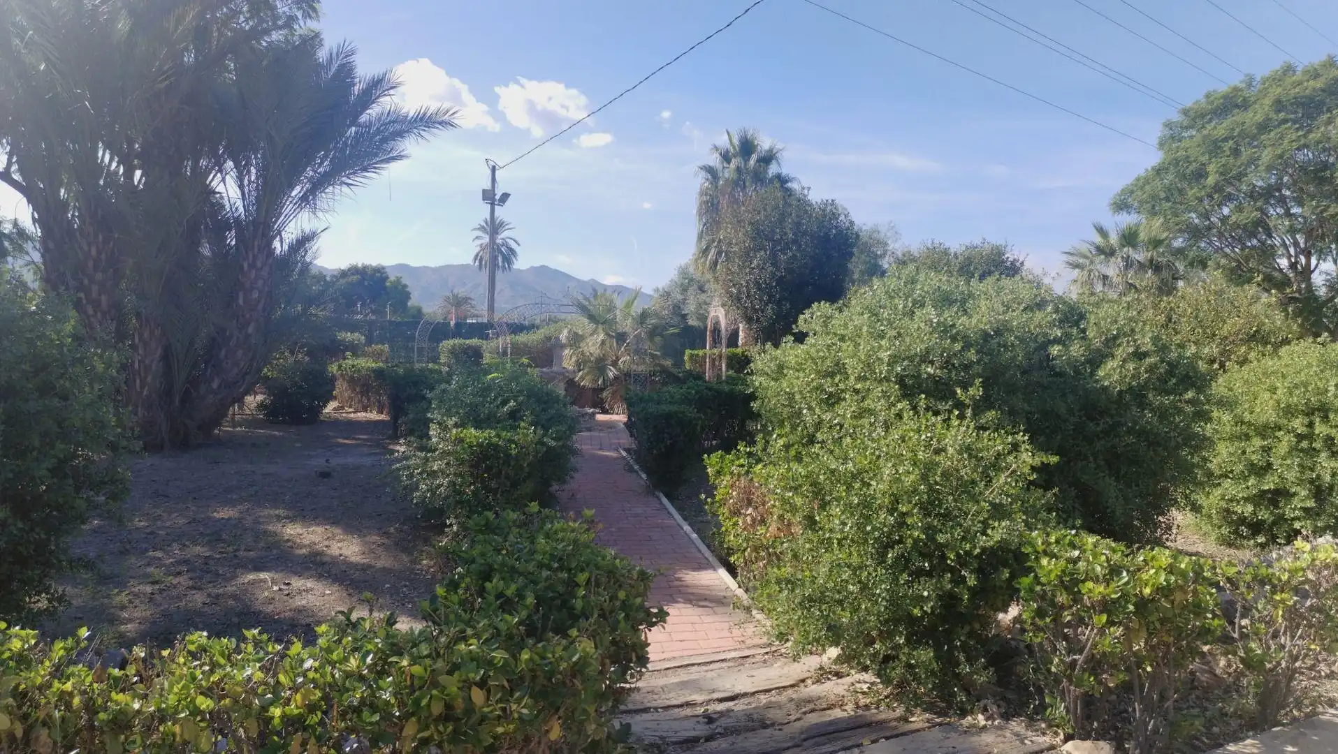 Xalet amb piscina en venda a Callosa de Segura, imagen 61