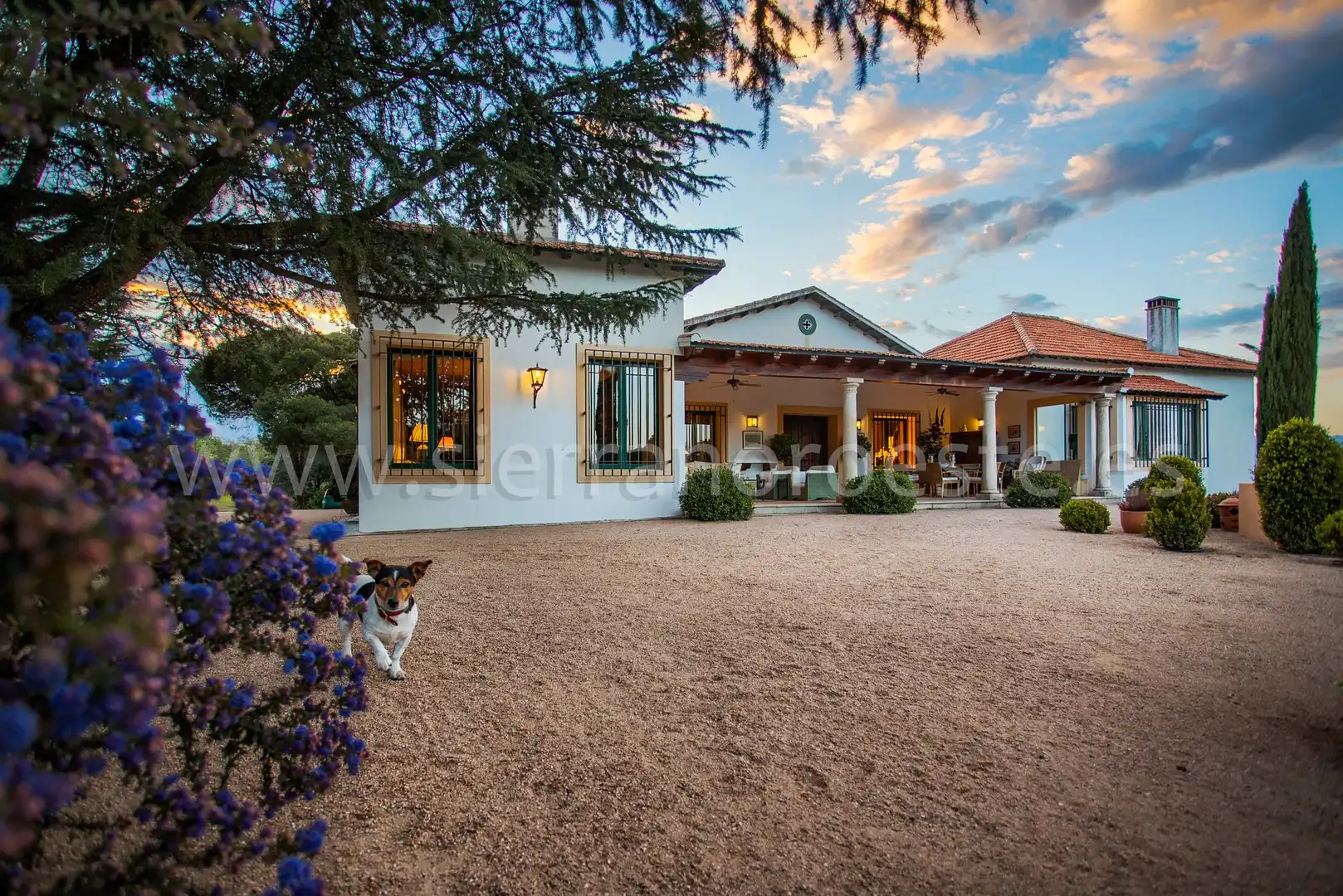 Casa o chalet en venta en Puerto de Galapagar - Las Cuestas
