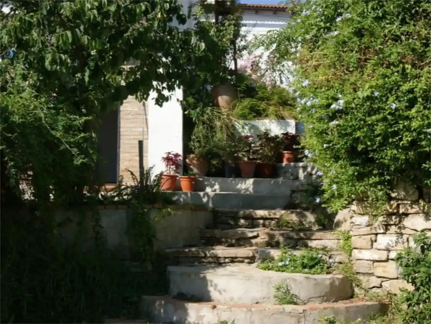 Jardí de Pis en venda en Jimena de la Frontera, Cádiz