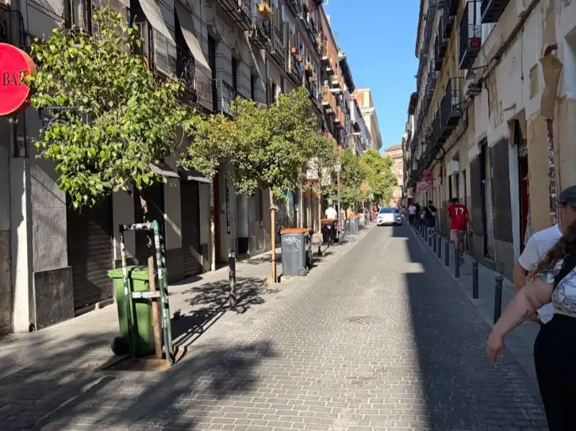 Studio à vendre à Calle de San Vicente Ferrer 26, imagen 23