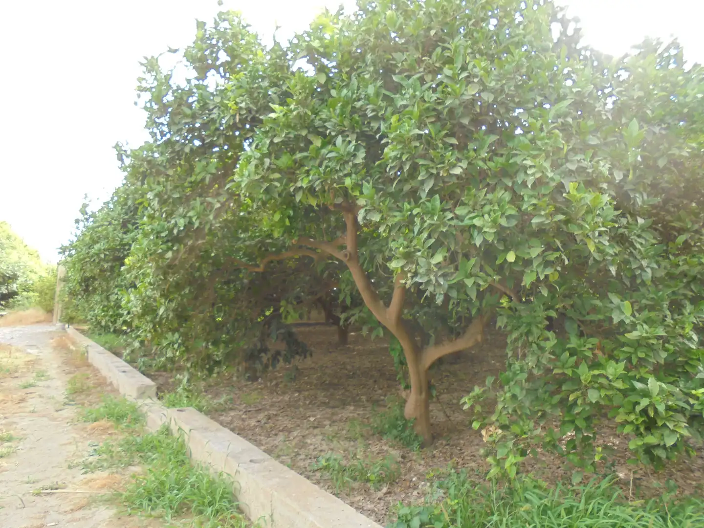 Terreno en venta en Rioja