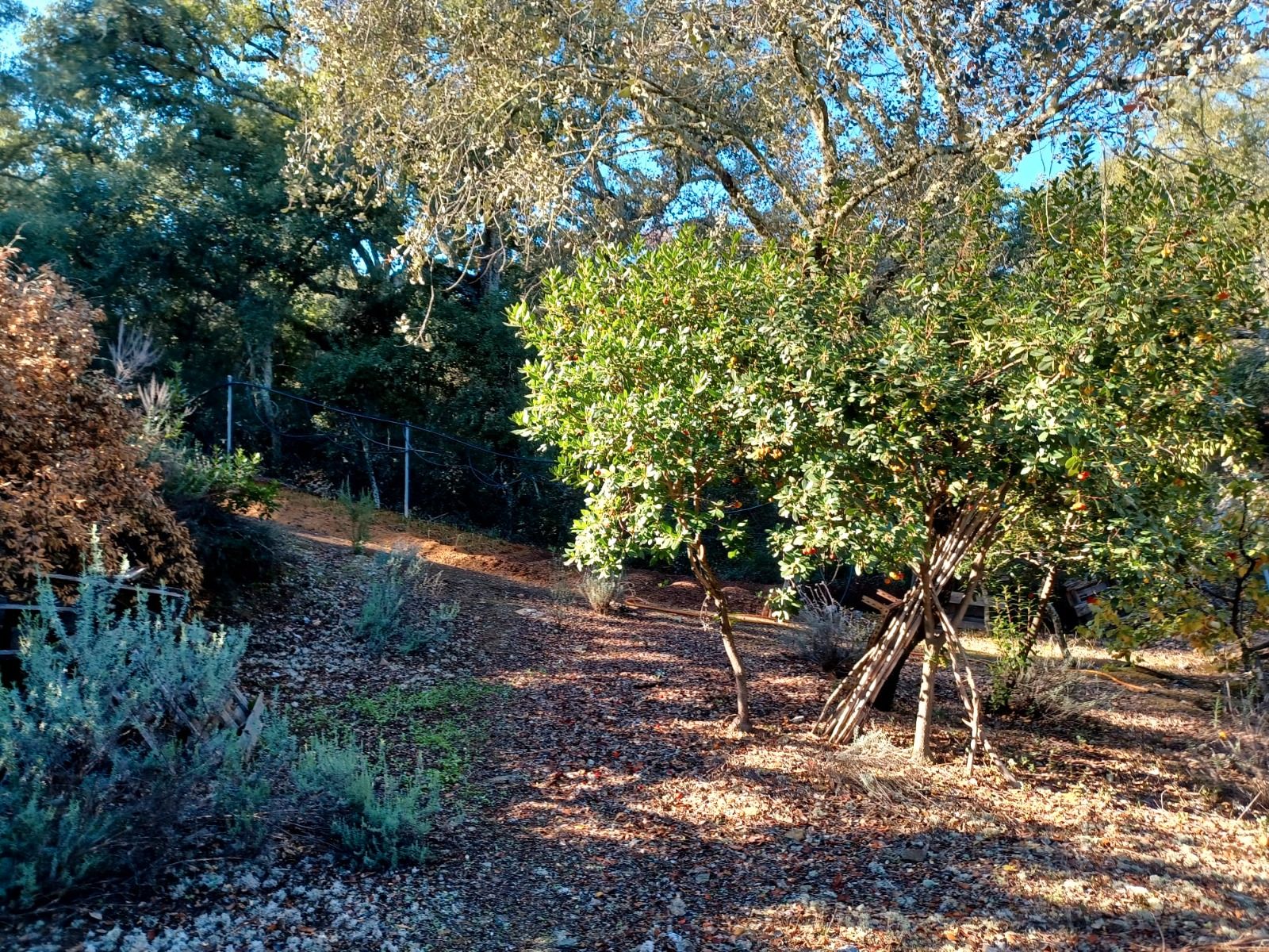 Casa o xalet en venda a Los Lagos