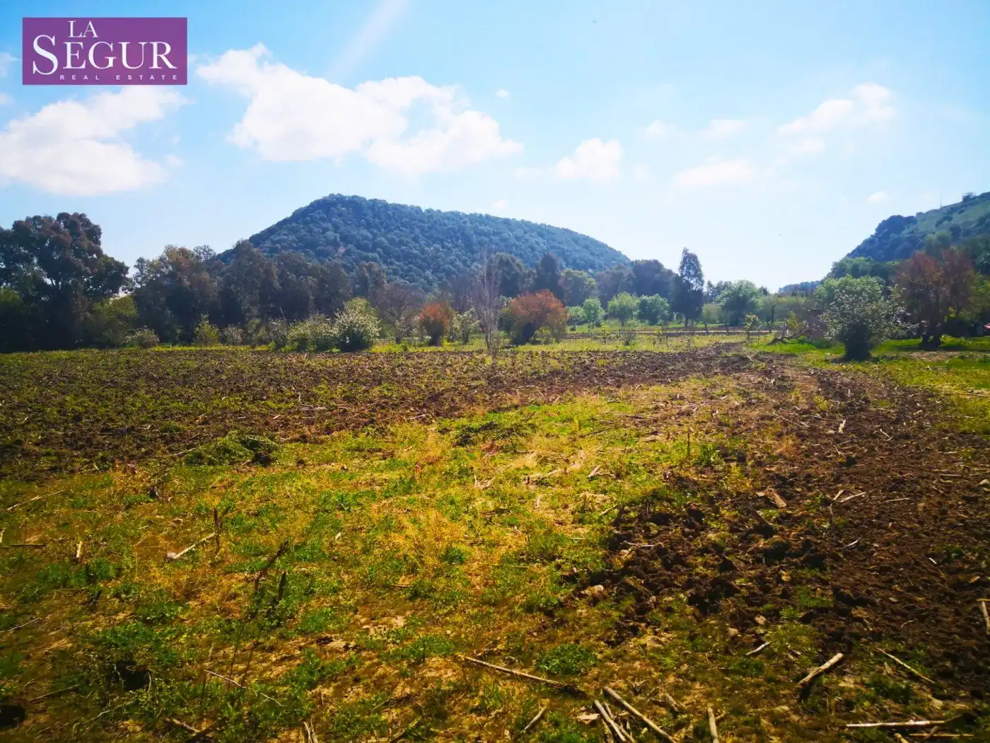 Terrain rustique à vendre à Vejer, imagen 2