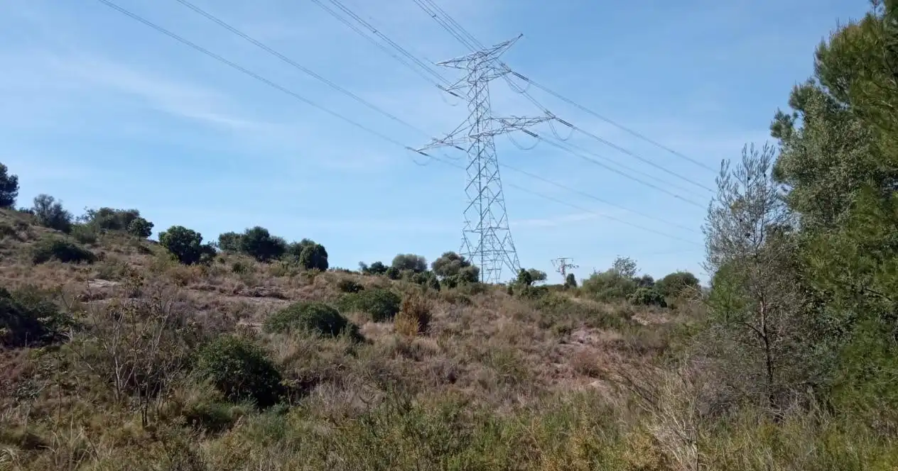 Residential land for sale in Poligono 11, imagen 9