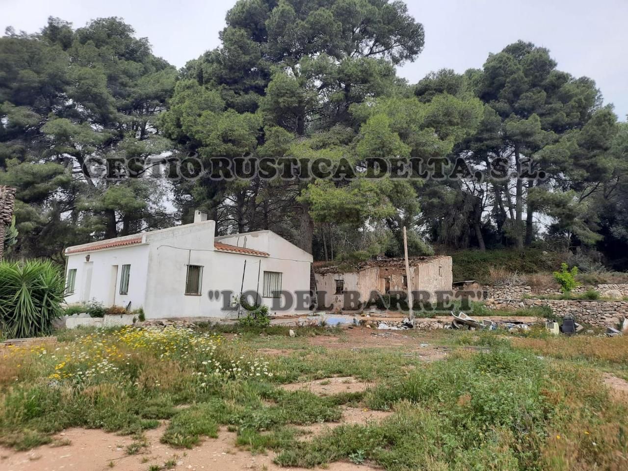 Vista exterior de Finca rústica en venda en Tortosa amb Jardí privat