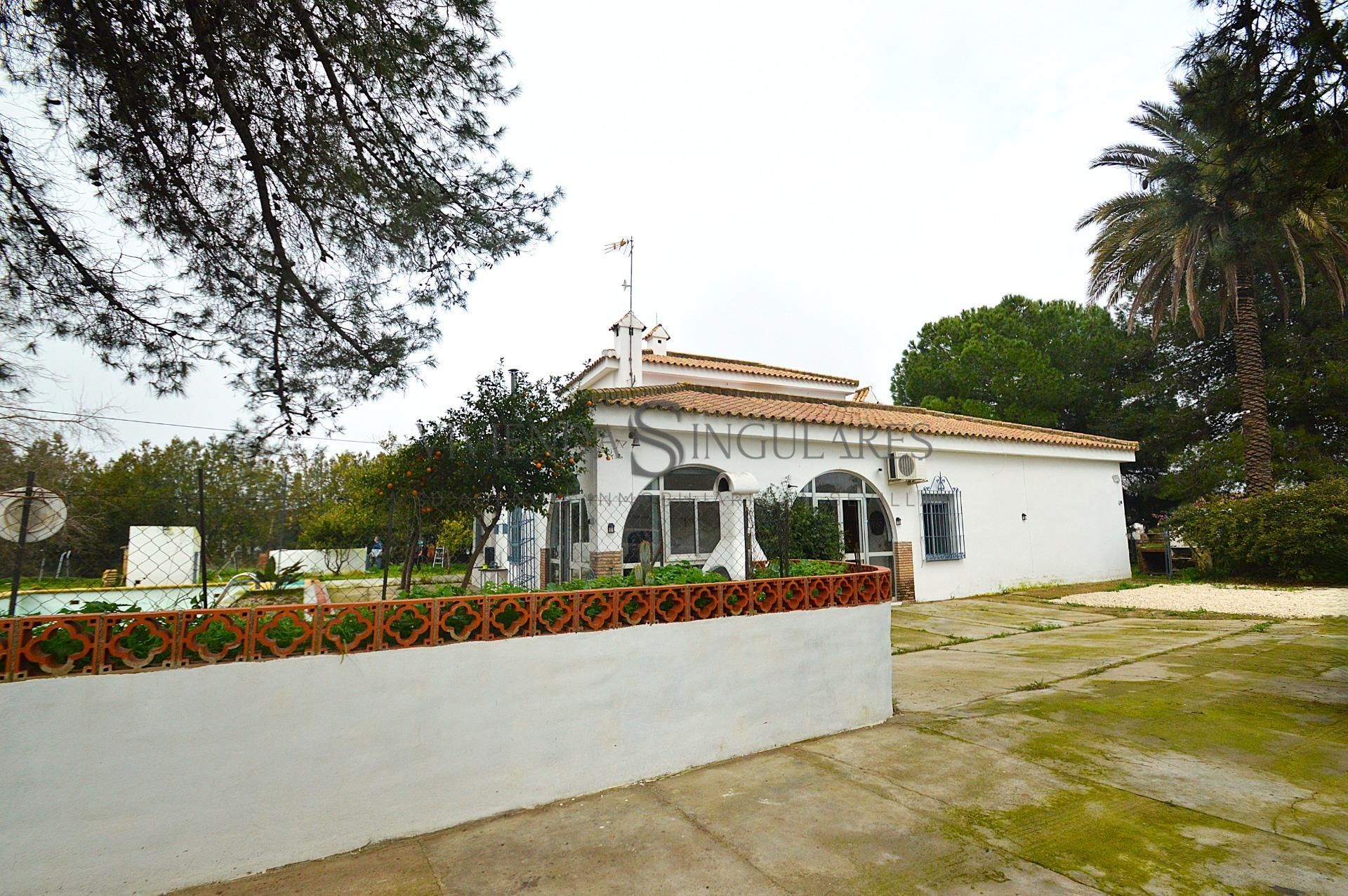 Vista exterior de Casa o chalet en venta en Carmona con Aire acondicionado, Calefacción y Jardín privado