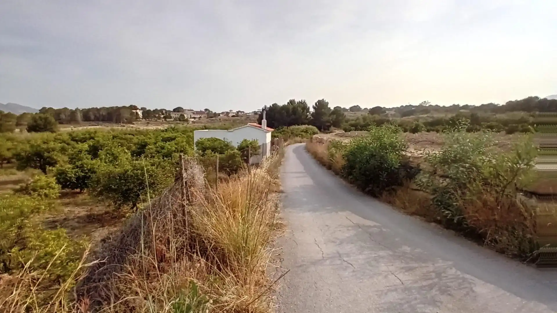 Rural land for sale in Altea ciudad, imagen 12