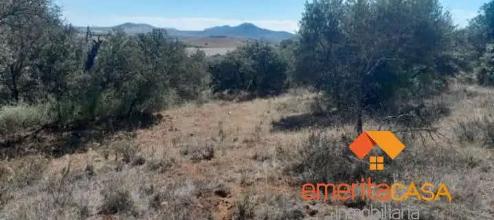 Terreni e lotti in vendita a Don Álvaro, imagen 2