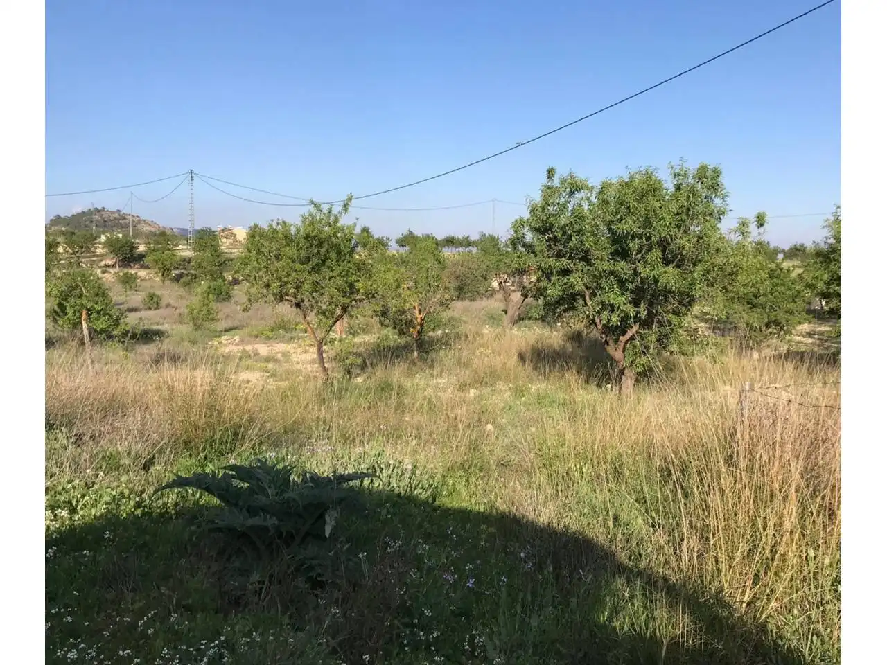 Country house zum Verkauf in Monóvar  / Monòver mit Privatgarten, Terrasse und Schwimmbad