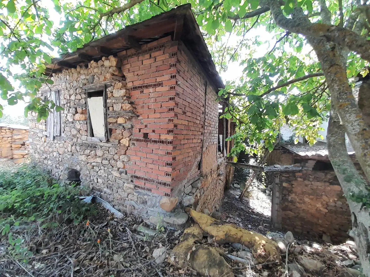Vista exterior de Finca rústica en venta en Congosto con Terraza