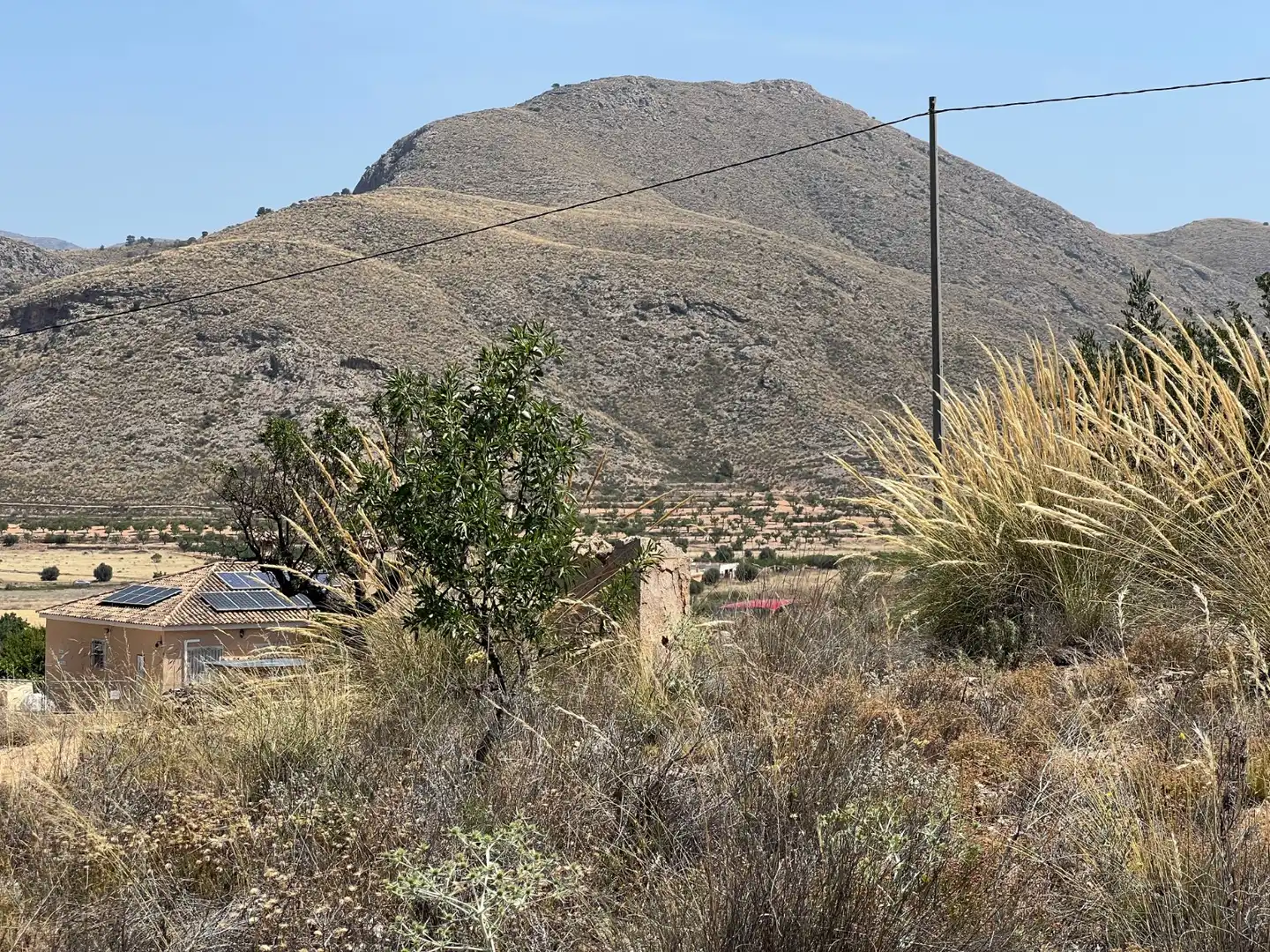Rural land for sale in La Murada - Los Vicentes, imagen 8