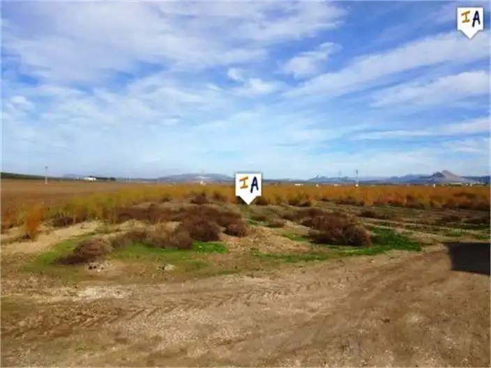 Finca rústica en venta en Mollina