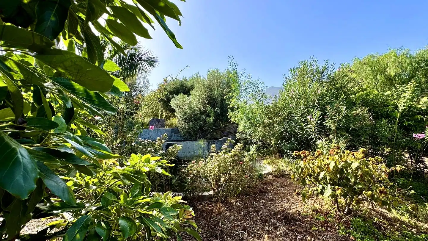 Jardí de Finca rústica en venda en Buenavista del Norte amb Jardí privat i Terrassa