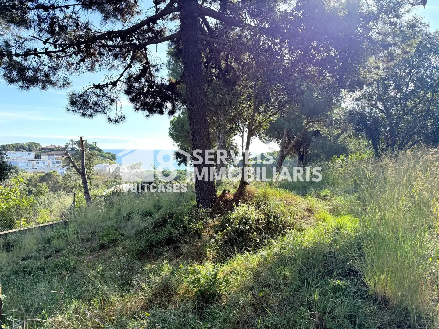 Lands and plots for sale in de Pere Corominas 28, imagen 12