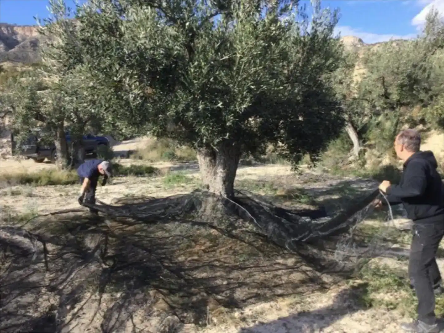 Jardí de Finca rústica en venda en Jijona / Xixona amb Piscina i Balcó