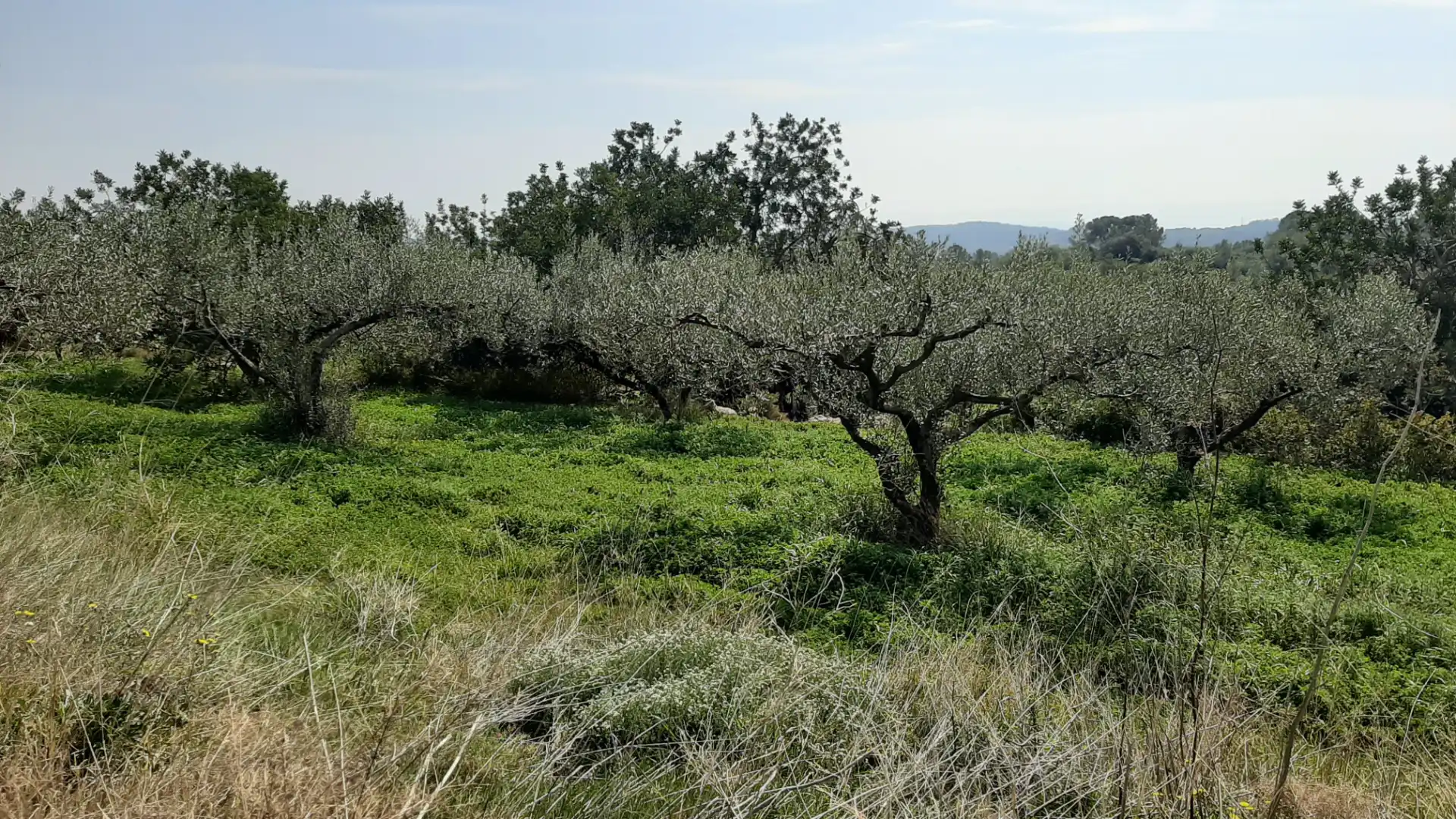Rural land for sale in N/A, imagen 5