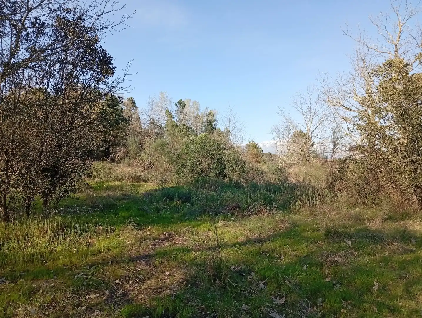 Terreni e lotti in vendita a Villanueva de la Vera, imagen 92