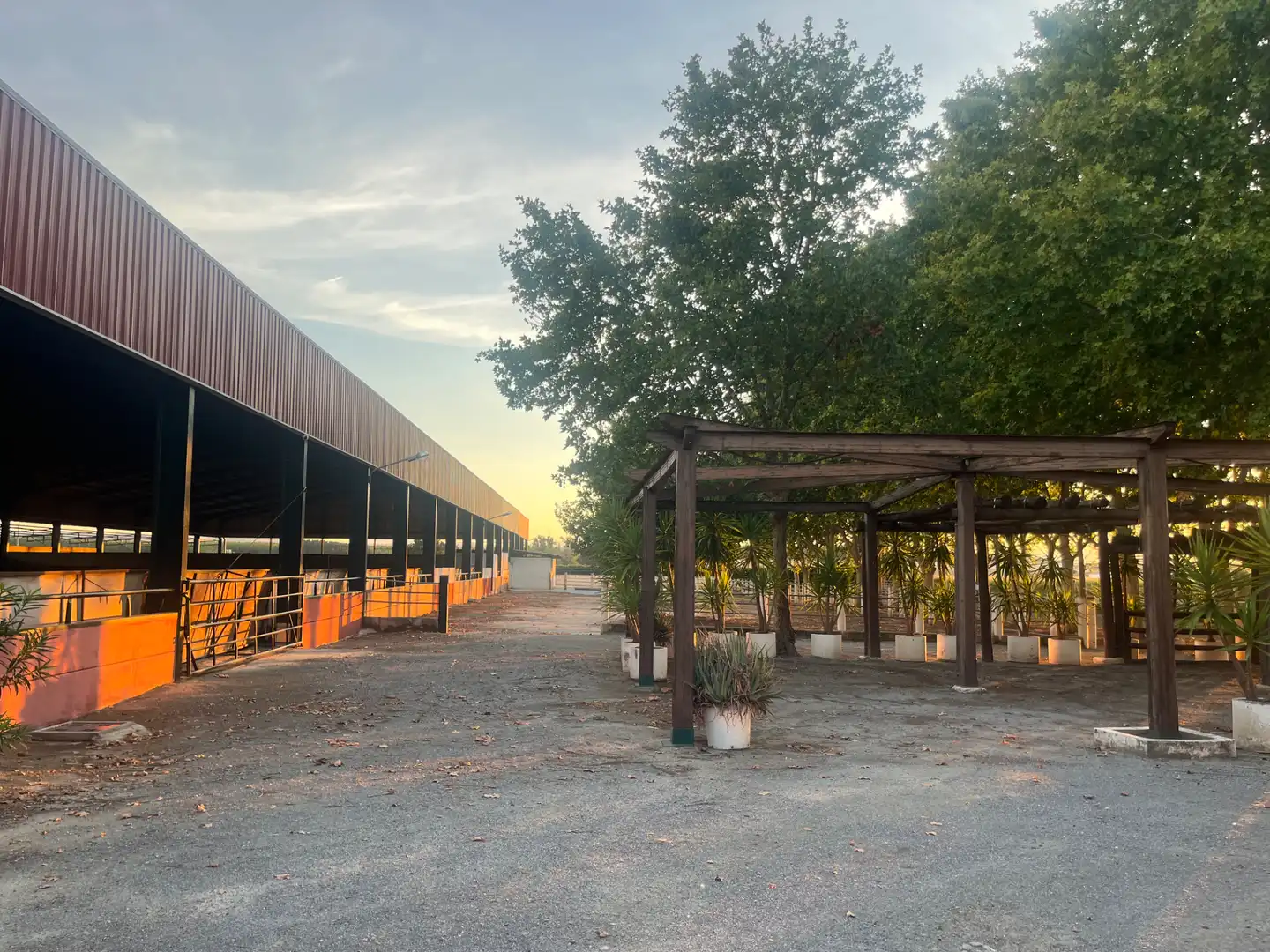 Industrial building for sale in Carretera de Córdoba, imagen 137