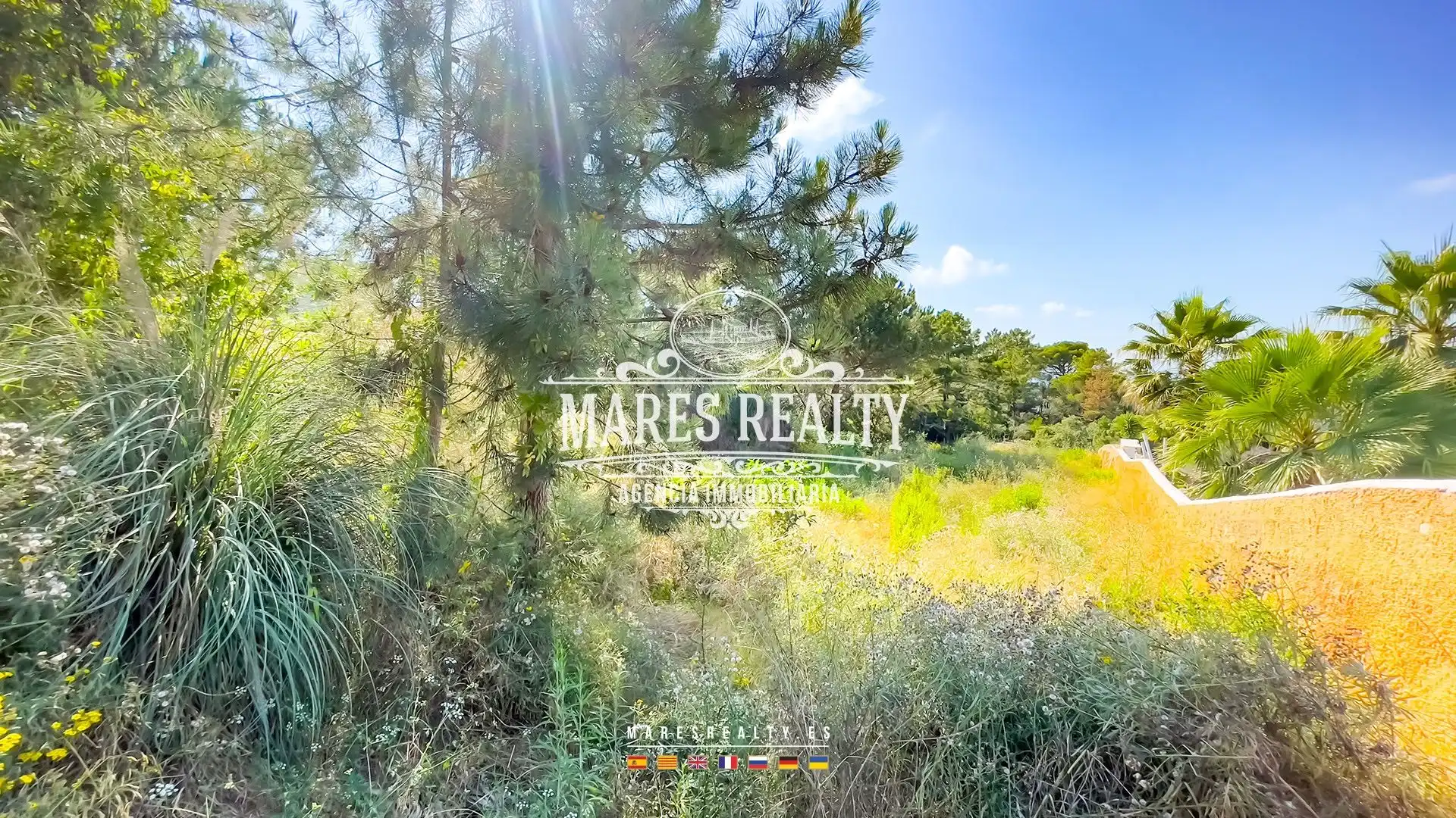 Terrenos y solares en venta en Serra Brava, imagen 3