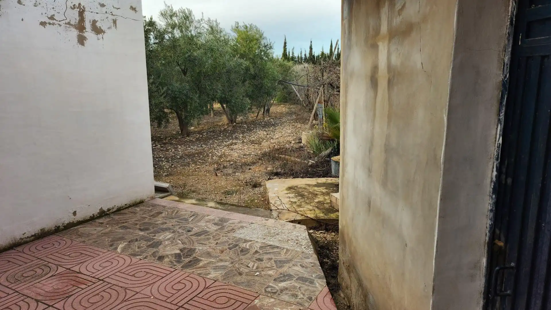 Jardí de Finca rústica en venda en Novelda amb Terrassa i Traster