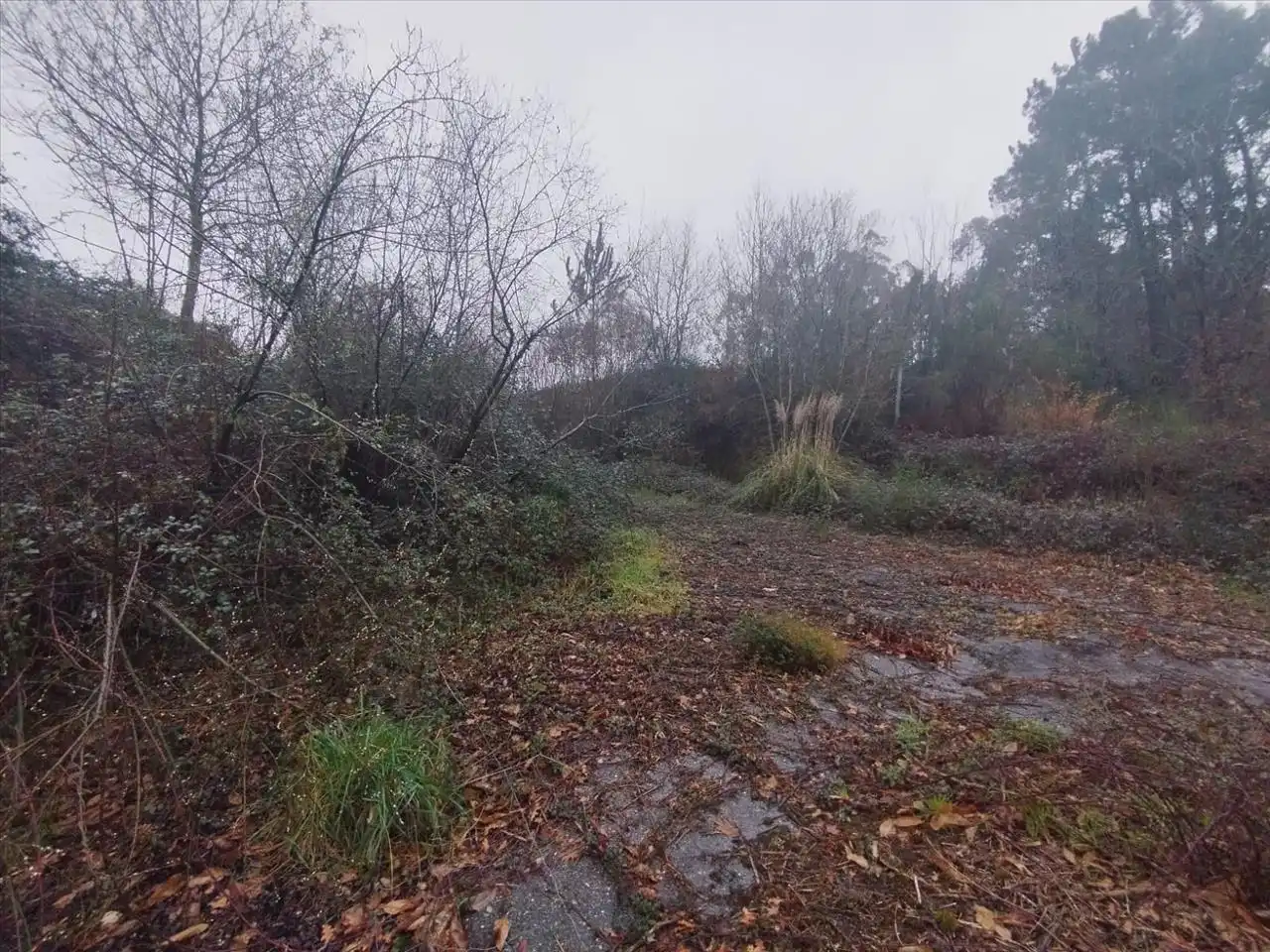 Terrain rustique à vendre à Tomiño, imagen 10