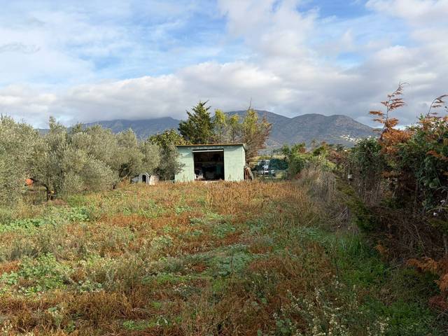 Terreno en Venta en Nord