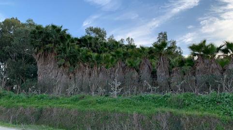 Photo 4 of Land for sale in N/a, -1, Norte - Blanca Paloma, Cádiz