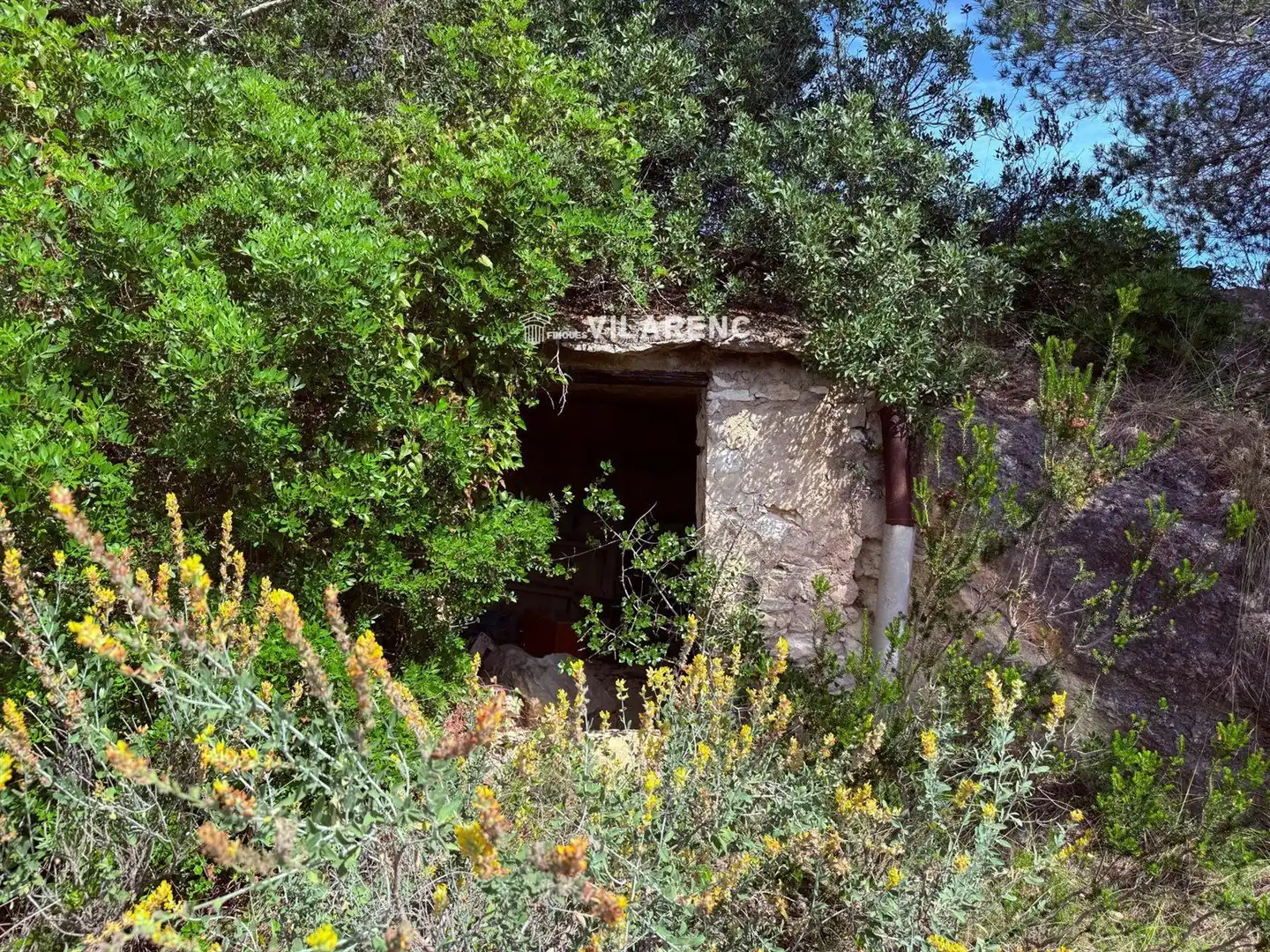 Rural land for sale in Massos de Vespella, imagen 15