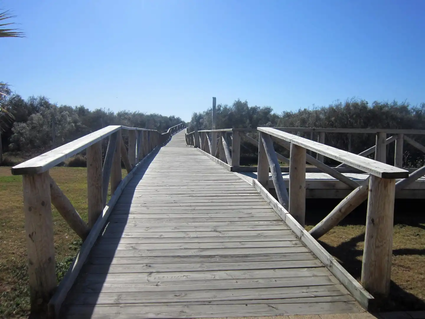 Chalet con piscina en venta en Paseo BLASCO IBAÑEZ, imagen 37