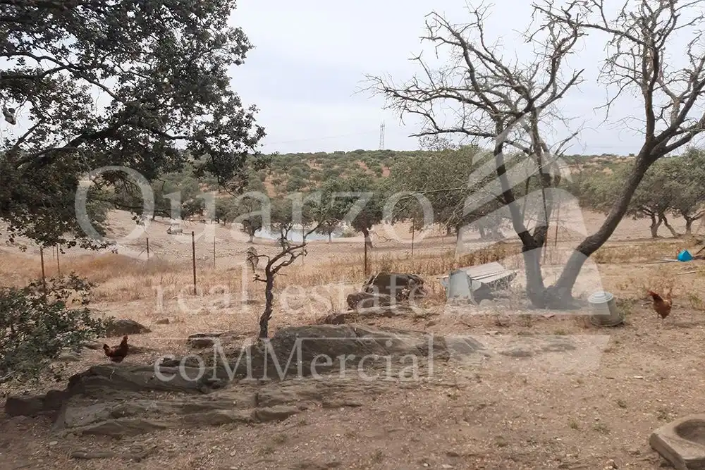 Finca rústica en venda en Herrera de Alcántara