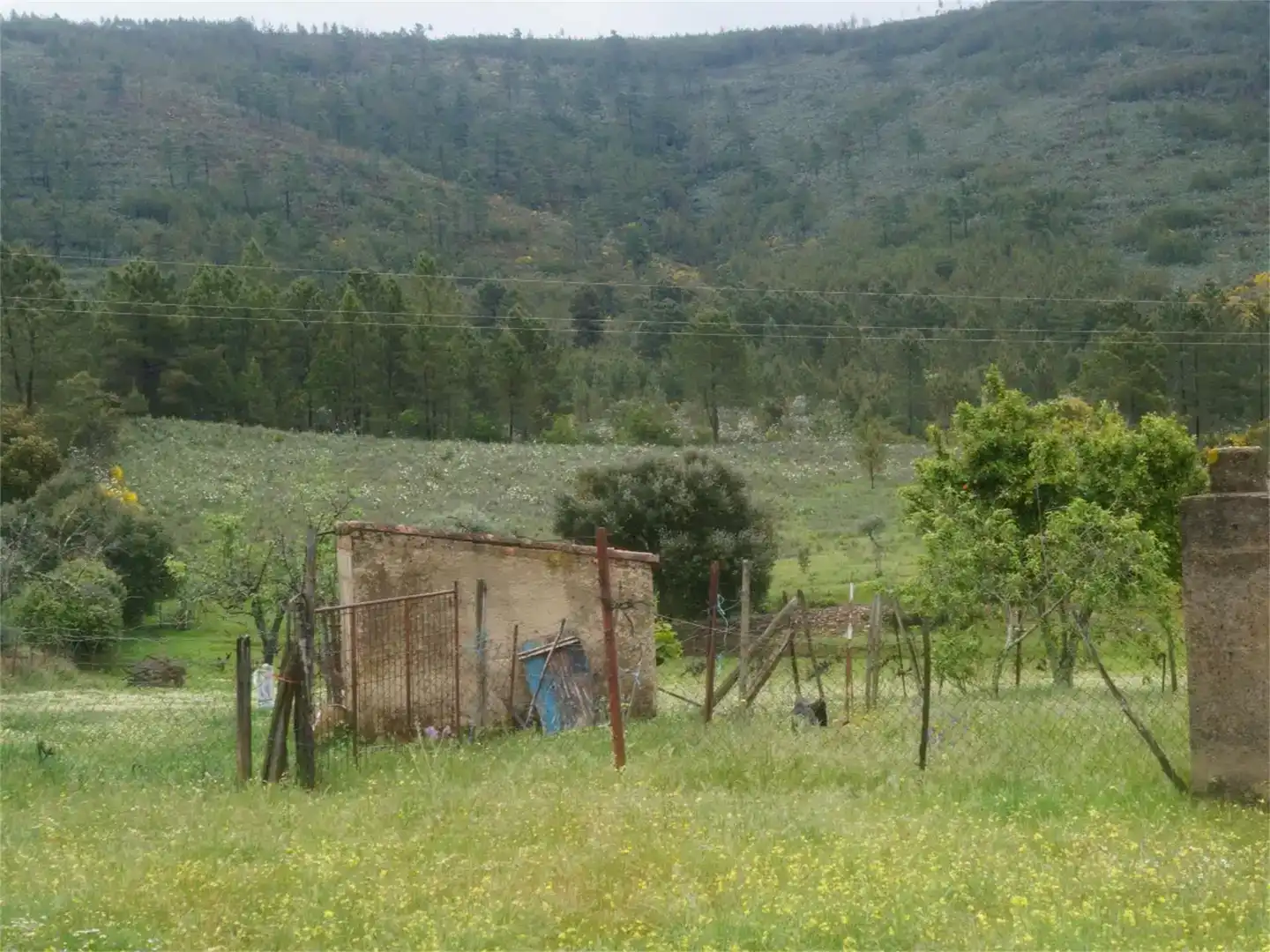 Finca rústica en venda en La Codosera