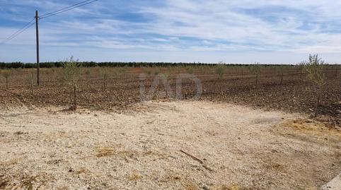 Foto 3 von Grundstücke zum Verkauf in Ctra Cañada -campillo, Km, Cañada Rosal, Sevilla