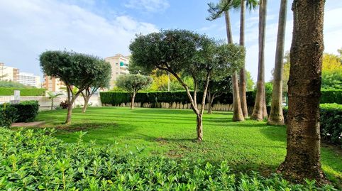 Foto 3 von Wohnungen zum Verkauf in Carrer de la Rioja, Playa de Gandia, Gandia